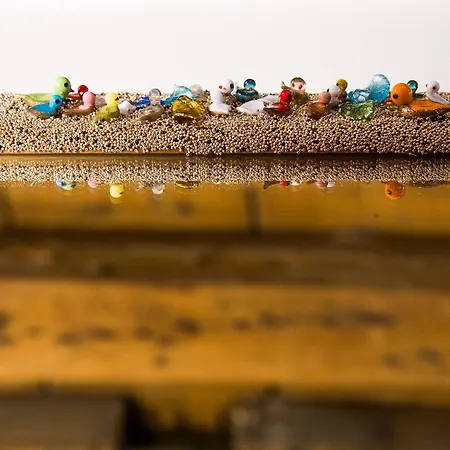 Bed and Breakfast Lanterna Di Marco Polo